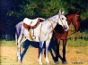 Ref: JAF-066 Caballos de alquiler